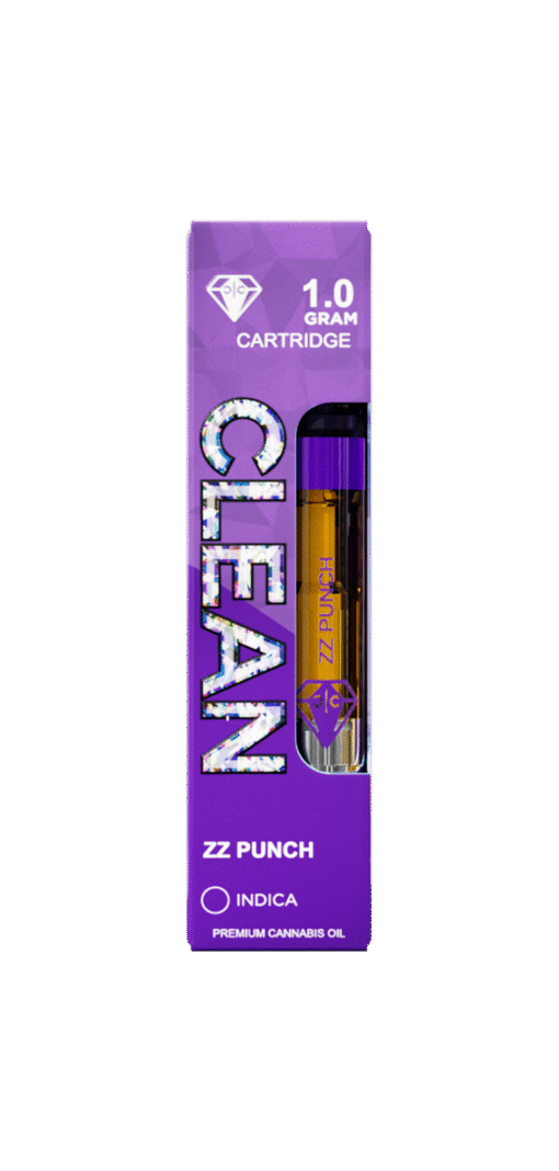 ZZ PUNCH